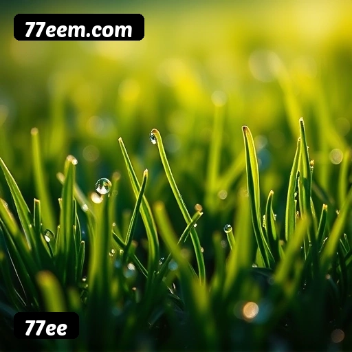 Tabela RTP dos jogos de cassino da 77ee