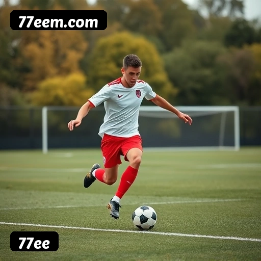 77ee APP mobile iOS Android - 187 mil downloads São Paulo Rio BH